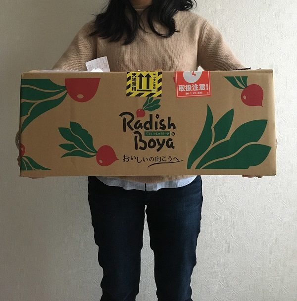 らでぃっしゅぼーやのお試しセットを徹底解説！