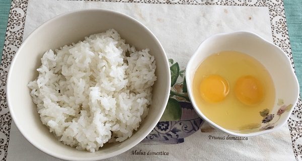 卵かけご飯