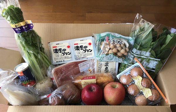 野菜宅配の大地を守る会のお試しセット
