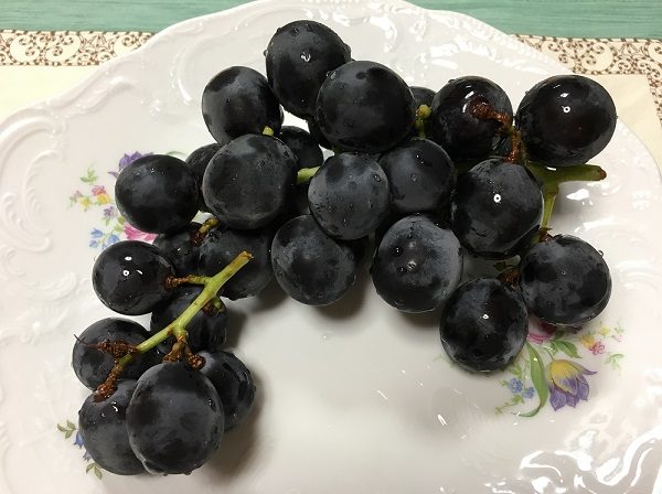 大地を守る会の巨峰