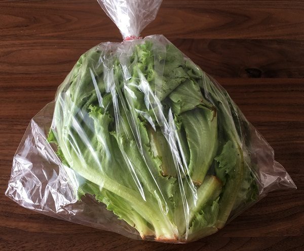 大地を守る会の宅配野菜のお試しセットのグリーンリーフ