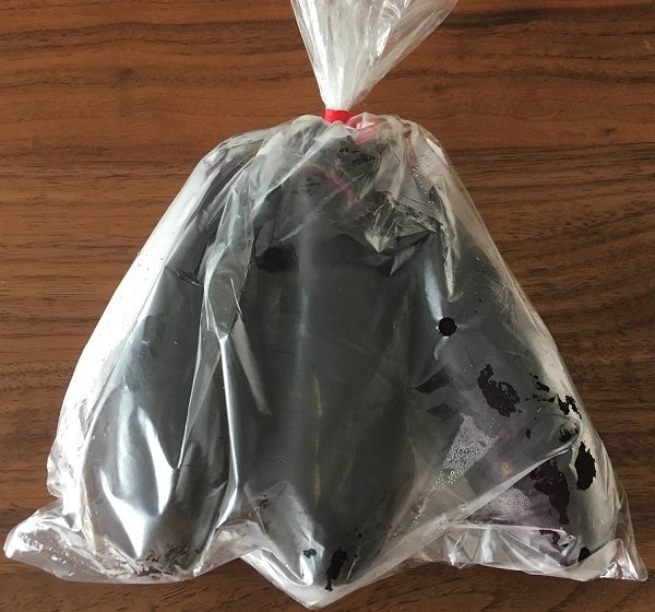 大地を守る会の宅配野菜のお試しセットの有機なす