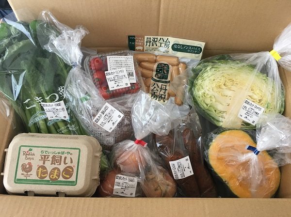 らでぃっしゅぼーやのお試しセット